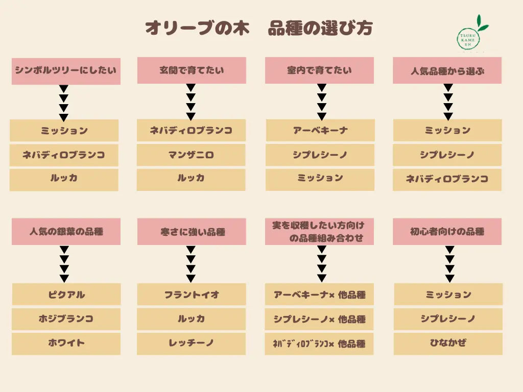 オリーブの品種の選びに困っている方に! - 株式会社鶴亀園 オリーブの品種の選びに困っている方に! - 株式会社鶴亀園