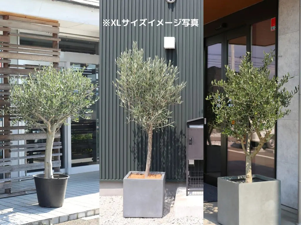 ページのサムネ