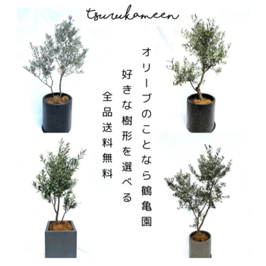 ページのサムネ