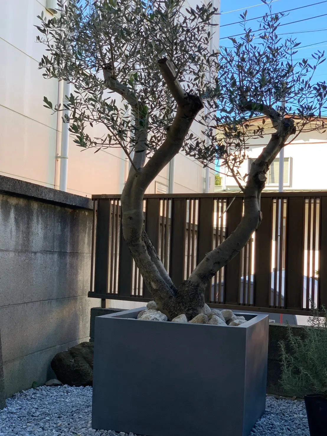 ページのサムネ