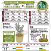 オリーブ専用肥料 500g｜鉢植え・地植え用｜オリーブの木との同時購入専用