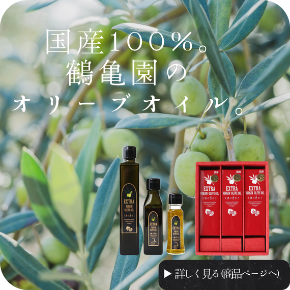 オリーブの木専門店 鶴亀園｜シンボルツリー・ギフトに人気｜香川から