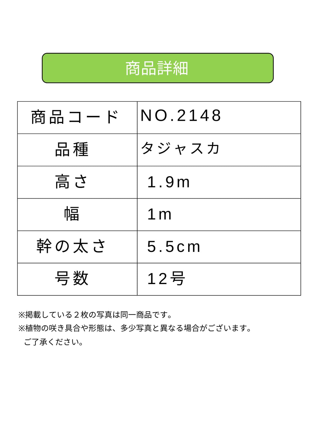 NEWタジャスカ（オリーブの木）｜XLサイズ｜NO.2148｜約190cm｜寒冷地