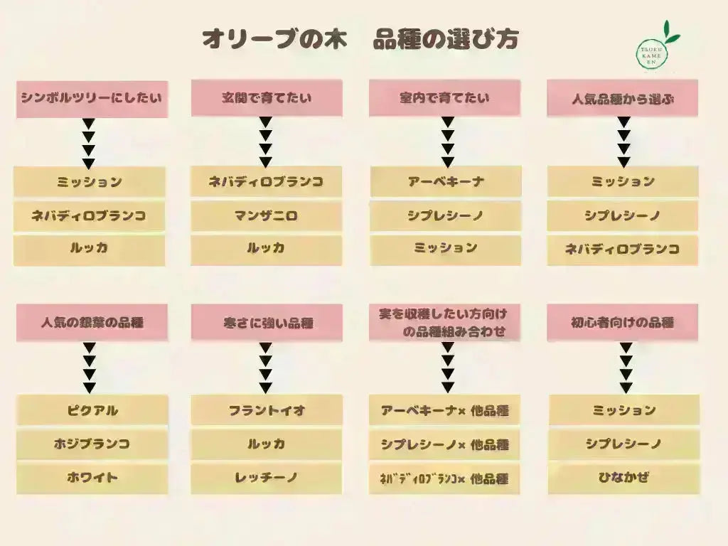 mm　オリーブ　38サイズ Q_A_e0b4ab6b-7cbb-46f0-bfe0-