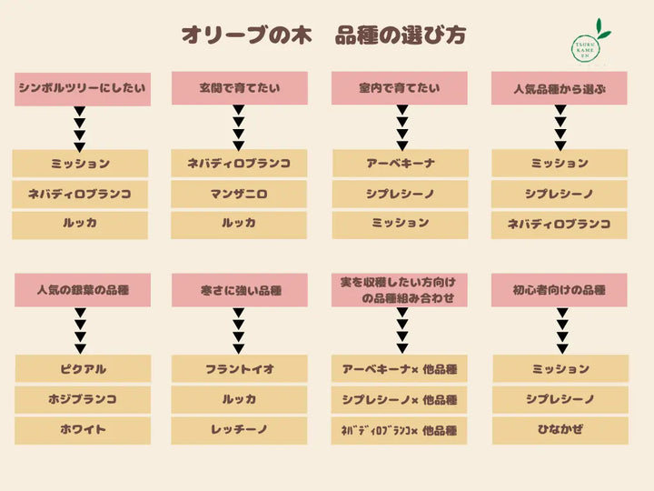 ホワイト Lサイズ 約160cm K-48 オリーブの木 - 株式会社鶴亀園 ホワイト Lサイズ 約160cm K-48 オリーブの木 - 株式会社鶴亀園