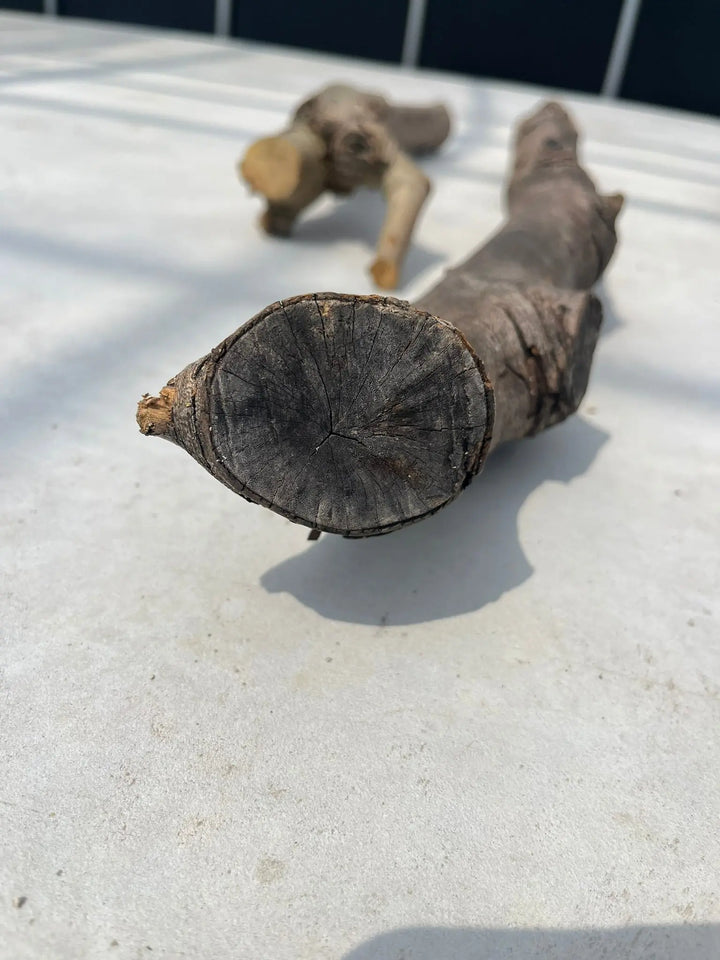 オリーブの木 剪定枝 オリーブ 剪定枝 切枝 太い枝5cm以下10〜20