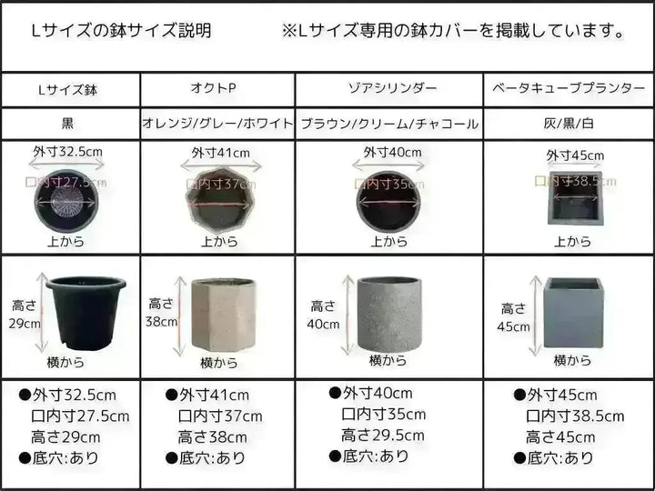 NEWネバディロブランコ（オリーブの木）｜Lサイズ｜K-238｜約90cm