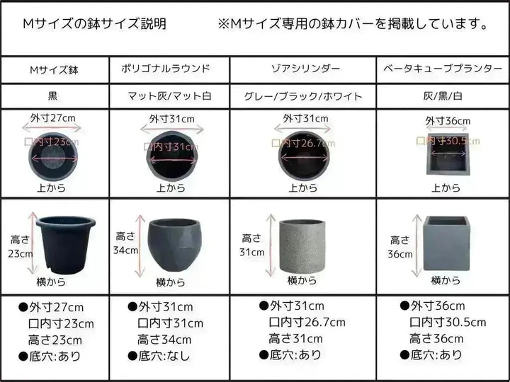 FuFu　オリーブ38サイズ NEWルッカ（オリーブの木）｜Mサイズ｜K-257｜約90cm｜人気・寒冷地OK
