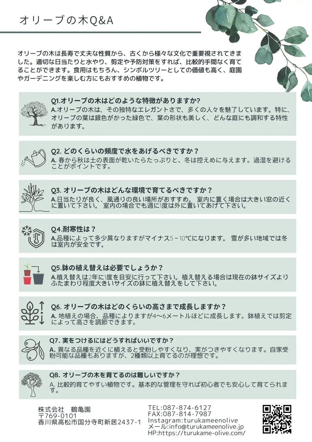 NEWピクアル（オリーブの木）｜Lサイズ｜No.10690｜約180cm｜人気・銀