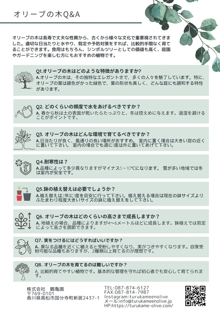 Q_A_7fbb538f-3d18-49a1-92c3-