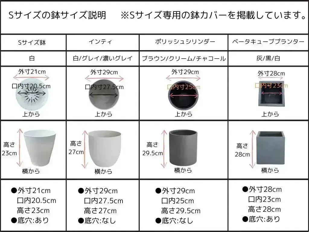 人気・直立型】ミッション（オリーブの木）〈シンボル向き