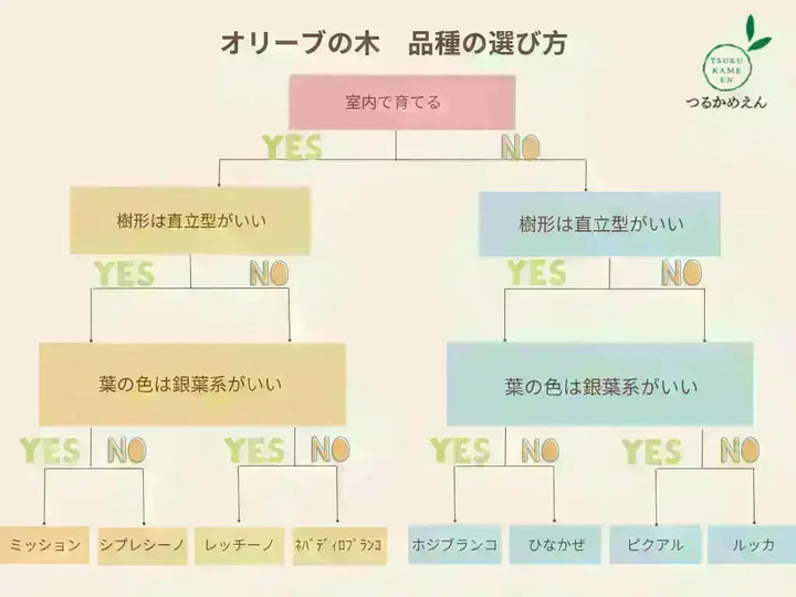 ハーディーズマンモス Mサイズ 約130cm K-28 オリーブの木 - 株式会社 ハーディーズマンモス Mサイズ 約130cm K-28 オリーブの木 - 株式会社
