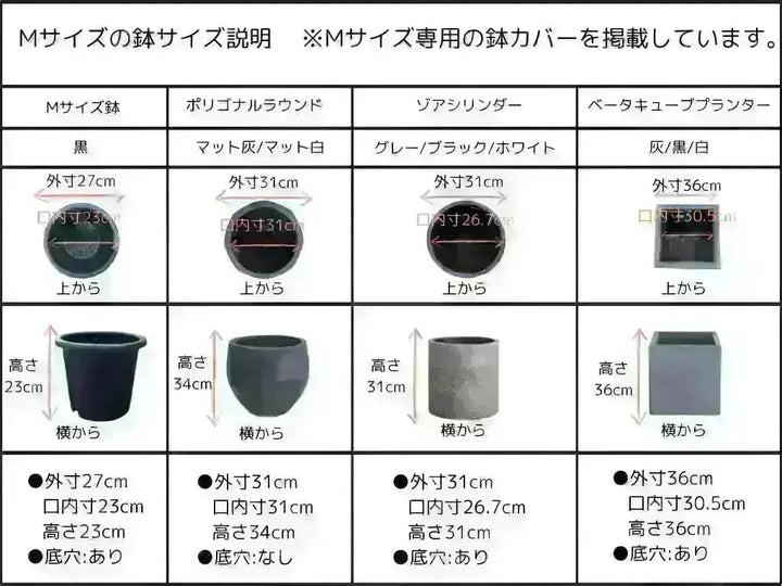 ピクアル Sサイズ 約140cm NO.10397 オリーブの木 - 株式会社鶴亀園