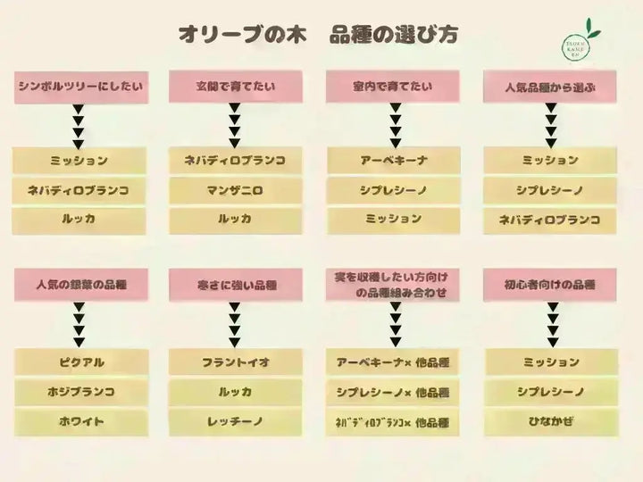s-120cm-no10516-186578_720x. s-120cm-no10516-186578_720x.