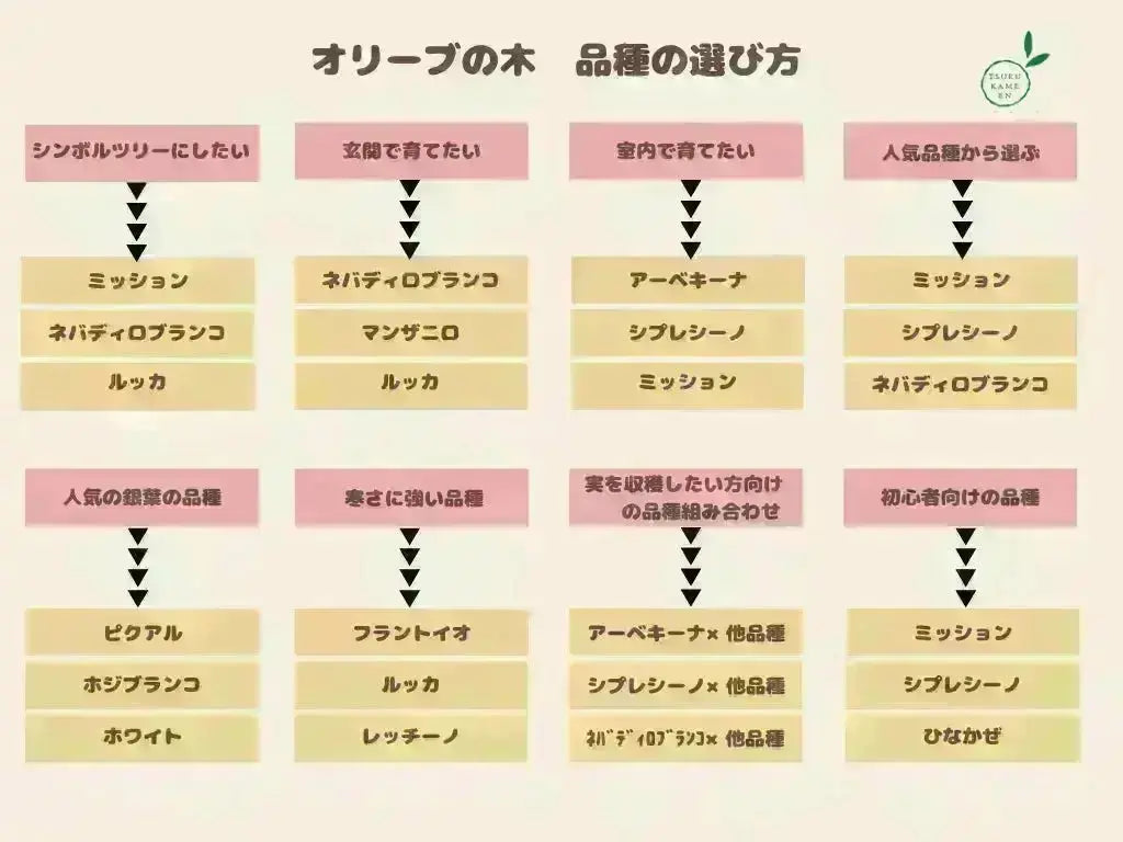 オリーブ　プロフご覧下さいです オリーブ プロフィールご確認ください様 リクエスト 2点 まとめ
