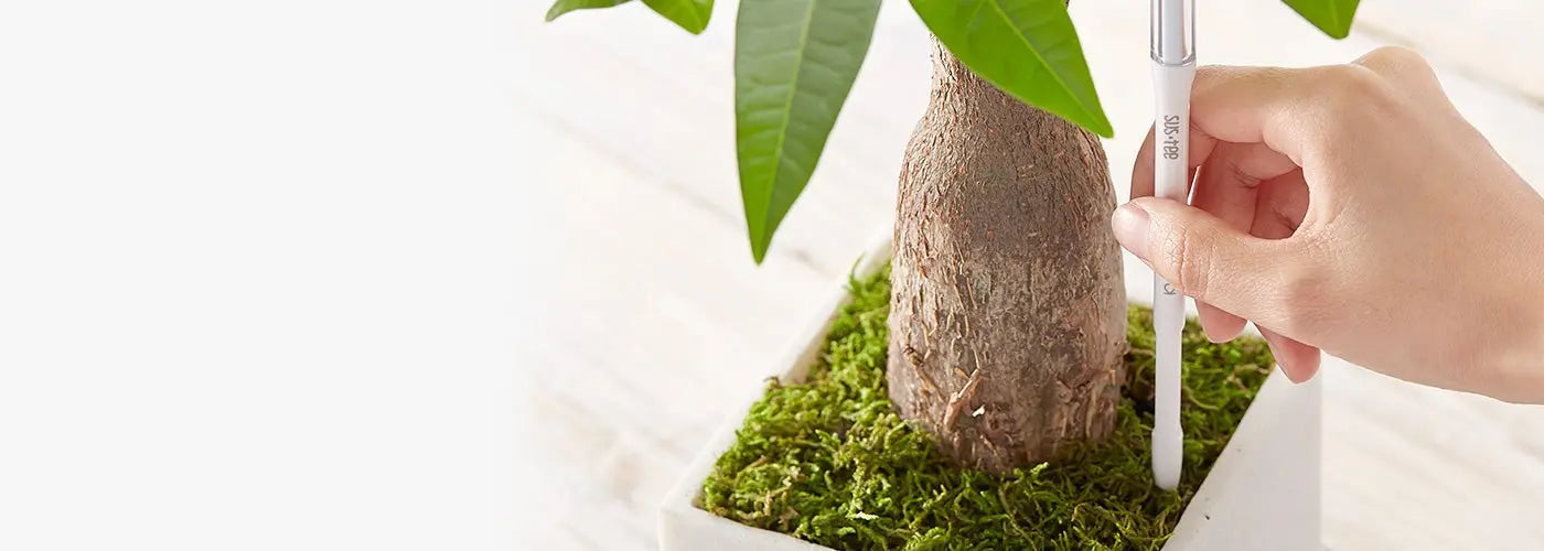 水やりチェッカー XSサイズ～使用可能！ - 株式会社鶴亀園