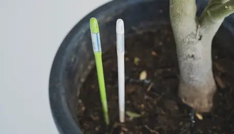 水やりチェッカー XSサイズ～使用可能！ - 株式会社鶴亀園